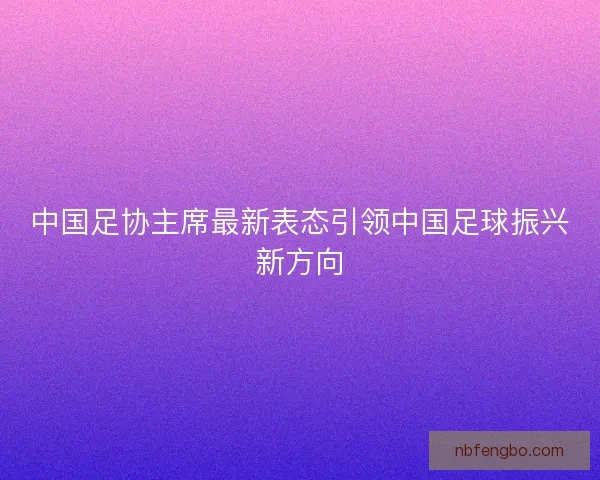中国足协主席最新表态引领中国足球振兴新方向